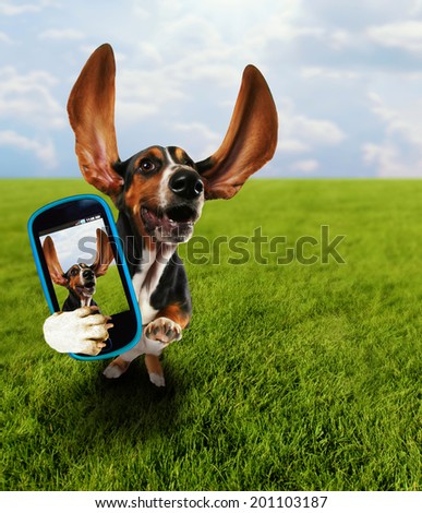 a cute basset hound running in the grass taking a selfie on a cell phone
