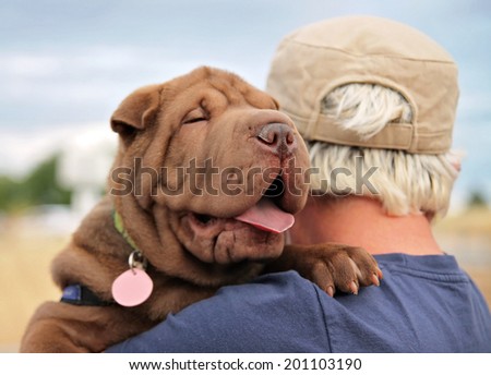 a sharpei puppy being held