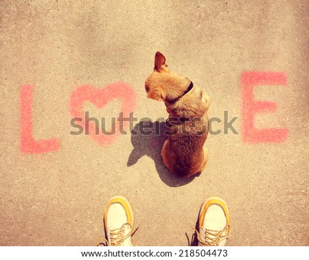 a cute chihuahua sitting in the word love on a sidewalk toned with a retro vintage instagram filter effect
