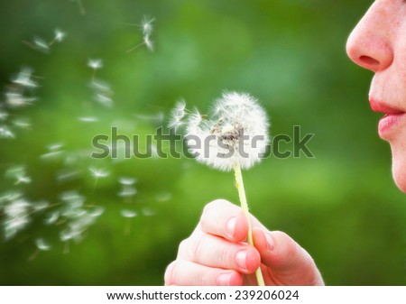 a woman blowing a dandelion during summer time (focus on woman)