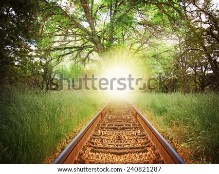 a magical path with train tracks in a lush green forest