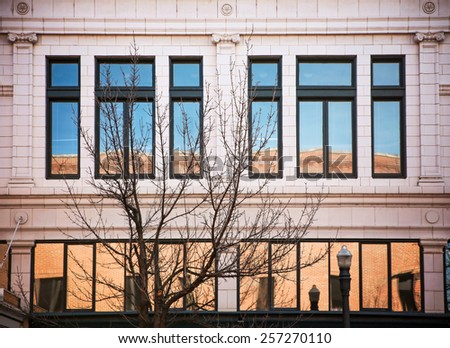a tree reflection in a window on a building done with a warm filter