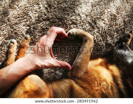 a person and a dog making a heart shape with the hand and paw in natural sunlight with rays of sunshine