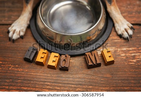 a dog waiting in front of a silver metal bowl for some food to be put in it for dinner time on a stained wooden patio or deck
