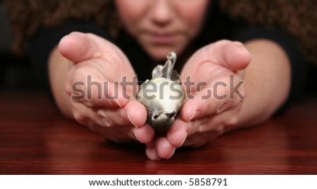 a girl holding a dead bird in her hands