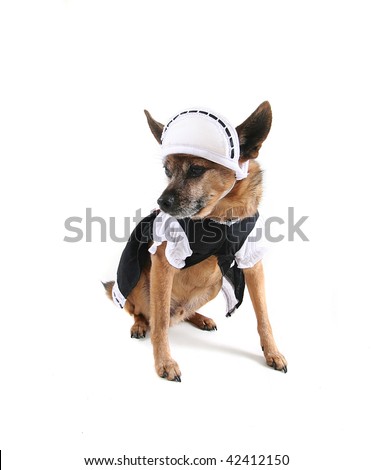 Dog Maid