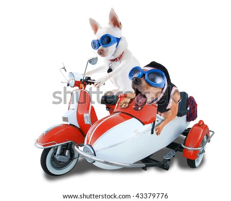 Scooter With Sidecar