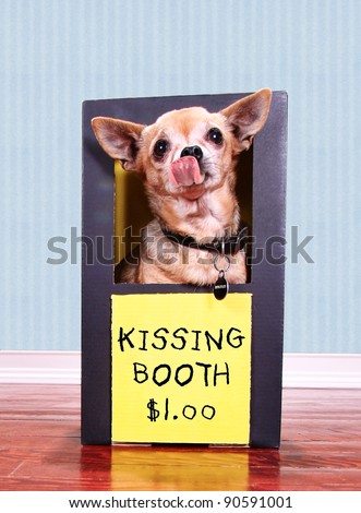doggy kissing booth