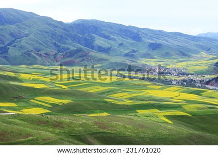 landscape of mountain in summer,Chinese