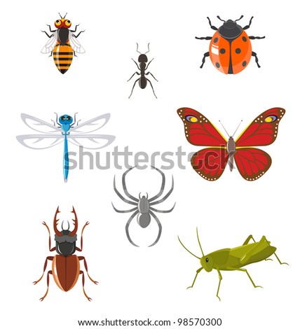 Set Of Various Insects Such As Ant, Butterfly, Beetle, Dragonfly 