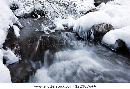 winter creek in the forest