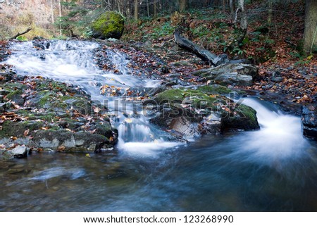 Stream in forest the autumn