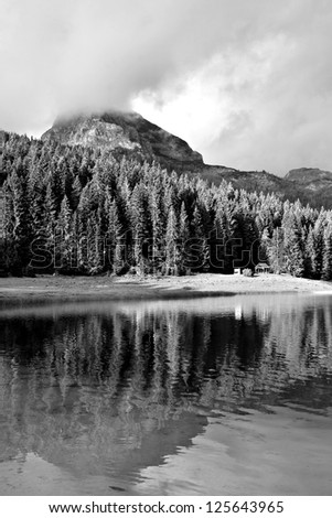 Mountain lake and forest black and white