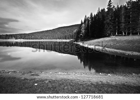 Lake and forest in mountain black and white