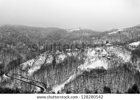 Forest in winter the landscape mountain black and white