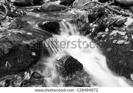 Stream in autumn the forest mountain black and white