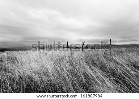 Landscape, black and white
