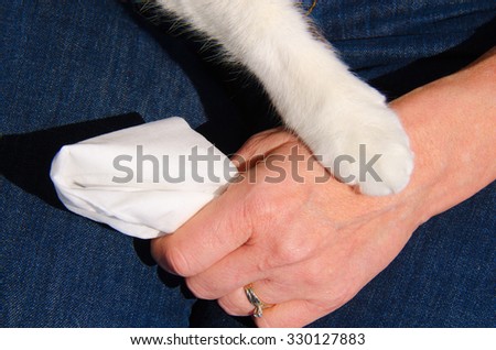 A cat\'s paw is gently touching the hand of an upset woman who has a tissue in her hand, which shows how important pets can be to people