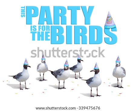 Funny birthday card and party invitation with birds in hats and confetti on the ground at their feet.