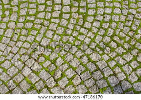 Close-up of a cobblestone road in a park with grass and moss growing up between the stones.