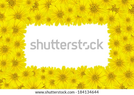 Yellow flowers (Dahlberg daisy,Golden Fleece) Frame on white background