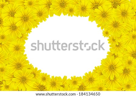 Yellow flowers (Dahlberg daisy,Golden Fleece) Frame on white background