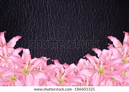 Frame Flowers Pink Lilies On a background of vintage style leather ,decorative card