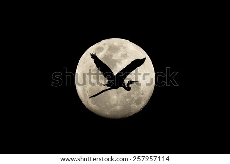 Under the concept of good leadership, teamwork and competitions. As well as birds flying lead to success in the venture in the future,Birds fly over the moon