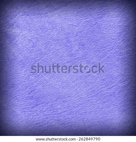 Skin texture leather with highlighted edges for a beautiful color for the background or enter text
