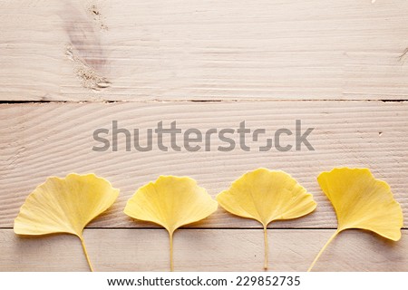Ginkgo leaves and board