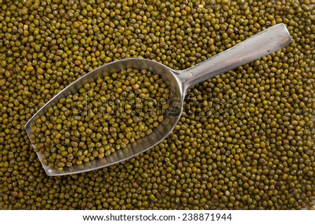 Mung beans with transfer scoop on mung beans  background