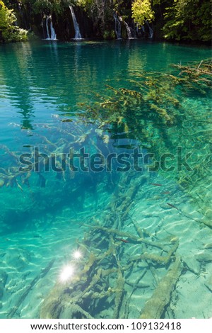 Small waterfalls summer view, patch of sunlight and fish on water and dry trunk tree at the lake bottom (Plitvice Lakes National Park, Croatia)