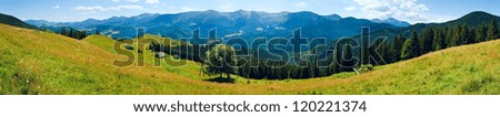 Summer mountain panorama (Carpathian, Ukraine)  with flowering grassland in front