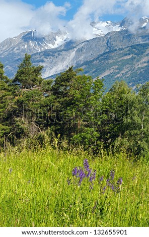 Summer mountain landscape with purple wild flowers in front  (Alps, Switzerland)