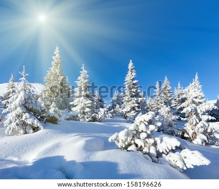Morning Winter Mountain Landscape With Fir Trees On Slope And Sunshine.