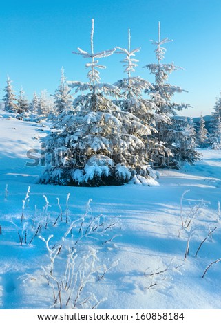 Sunrise and winter mountain landscape with snow covered trees on slope