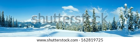 Winter mountain fir forest snowy panorama and woman tourist (top of Papageno bahn - Filzmoos, Austria)