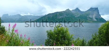 Fjord summer cloudy view with flowers in front (Norway). Panorama.