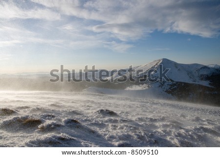 Winter morning mountain landscape wit very powerful wind and snow pellets storm because that (Ukraine, Carpathian Mt\'s, Chornogora Ridge). Sparkles on all image - snow pellets!