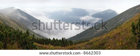 Misty Carpathian Mountains (Ukraine) landscape (with distant birds in sky). Seven shots composite picture.