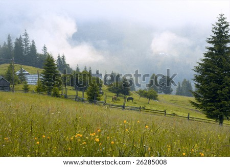 Summer mountain blossoming green meadow with farmhouse and horses (Carpathian Mt-s, Ukraine).