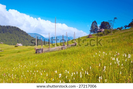 Summer mountain blossoming green meadow with farmhouse (Carpathian Mt-s, Ukraine).
