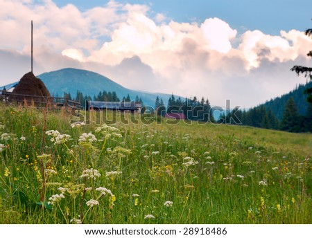 Summer twilight mountain blossoming green meadow with farmhouse (Carpathian Mt-s, Ukraine).