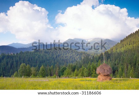 Summer mountain blossoming green meadow with haystack (Carpathian Mt-s, Ukraine).