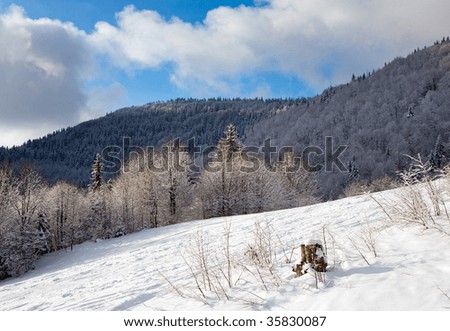 winter calm mountain landscape with rime and snow covered forest and ski slope