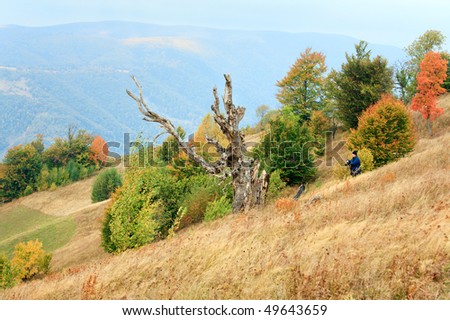 Withered tree on autumn Carpathian mountainside (and and photographer near).
