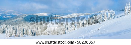 Winter calm mountain panorama landscape with sheds and mount ridge behind (Carpathian Mountains, Ukraine). Eight shots stitch image.