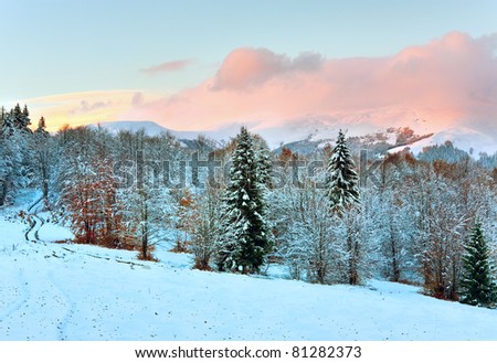 winter sunset mountain landscape with dirty road through forest with last autumn foliage  (Carpathian, Ukraine)