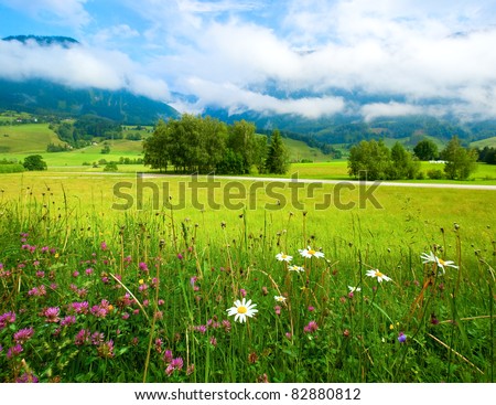 Alps mountain meadow tranquil summer view