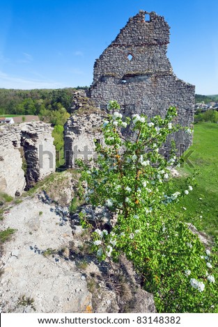 Spring view of Castle ruins (Sydoriv village, Ternopil region, Ukraine).